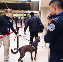 National Explosives Detection Canine Team Program