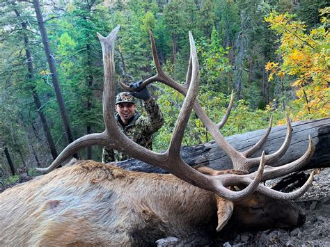 National Forest Elk Count