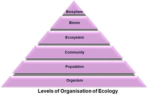 National Hierarchical Framework of Ecological Units 1