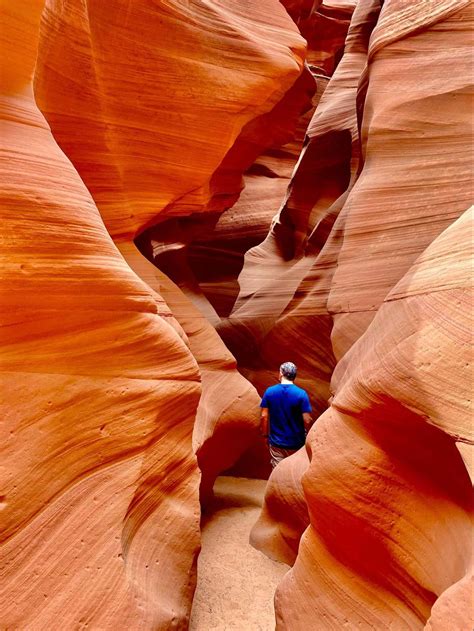 National Park Express Antelope Canyon & Horseshoe Bend Day Tour …