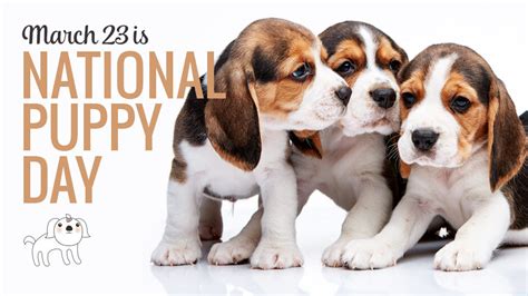 National Puppy Day celebrated across the nation