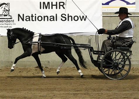 National Show Archives imhr