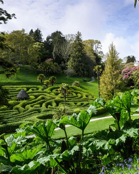 National Trust - Glendurgan garden & North Helford countryside