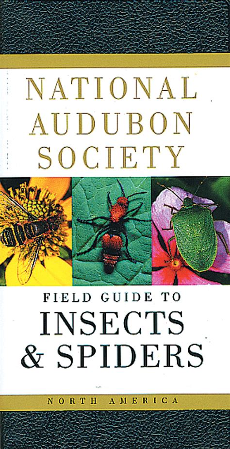 National audubon society field guide to north american insects and. - Handbook of research on mobile marketing management advances in e.