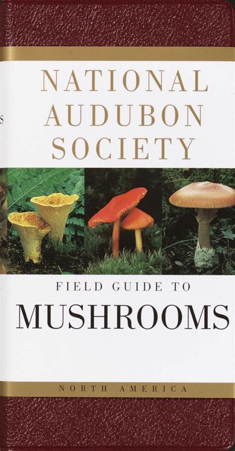 National audubon society field guide to north american mushrooms national audubon society field guides hardcover. - Familienessen und die brüder ein anfängerleitfaden für die italienische küche.