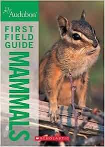 National audubon society first field guide by edward r ricciuti. - Craftsman 450 series lawn mower manual.