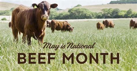 National beef load status. Things To Know About National beef load status. 