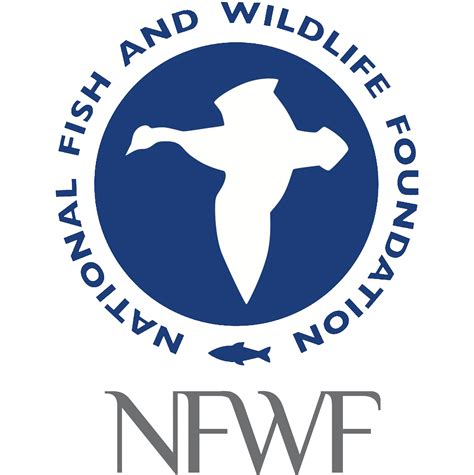National fish and wildlife foundation. Manager, Southern Regional Office. National Fish and Wildlife Foundation. Jul 2013 - Dec 2016 3 years 6 months. Washington D.C. Metro Area. - Implement NFWF's Southeast forest and freshwater ... 