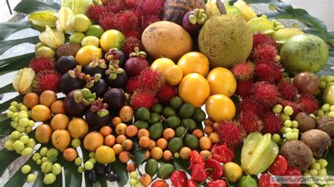 National fruit of puerto rico. Residents from Puerto Rico had the lowest reported fruit and vegetable intake and the lowest knowledge of the recommended servings of fruits and vegetables to maintain good health, compared with U ... 