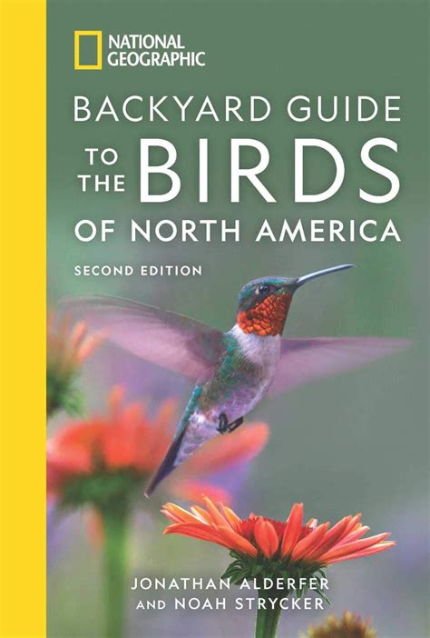 National geographic backyard guide to the birds of north america national geographic backyard guides. - Jcb 520 55 526 526s 526 55 telescopic handler service repair workshop manual instant.