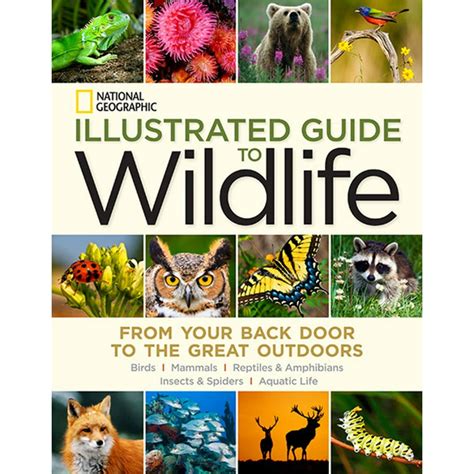 National geographic illustrated guide to wildlife from your back door. - Fit to be well essential concepts.