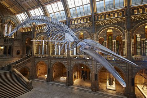 National history museum london. Oceans represent Earth's last great unexplored wilderness. Despite making up more than 70% of the Earth's surface, there is still much about the oceans that we do not know. Exploring and studying them is critical to protect these valuable resources for future generations. Uncover why we need to protect the oceans, find out how to get involved ... 