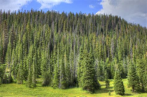 National parks and forests in Colorado will be free on this day