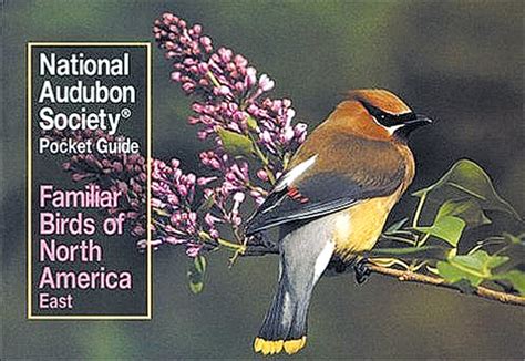 Download National Audubon Society Pocket Guide To Familiar Birds Eastern Region Eastern By National Audubon Society