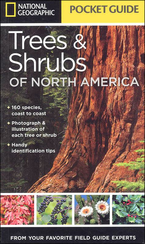 Read Online National Geographic Pocket Guide To Trees And Shrubs Of North America By National Geographic Society