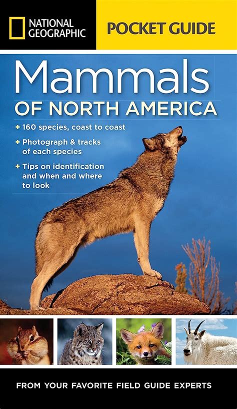 Full Download National Geographic Pocket Guide To The Mammals Of North America By Catherine Howell