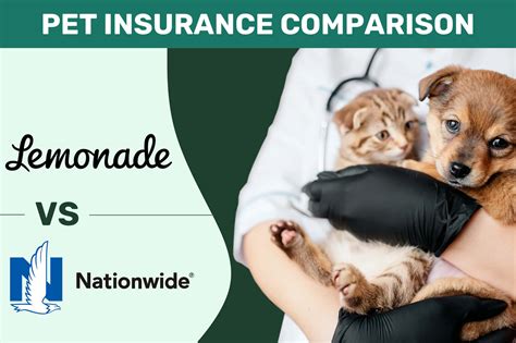 Nationwide Vs Lemonade Pet Insurance