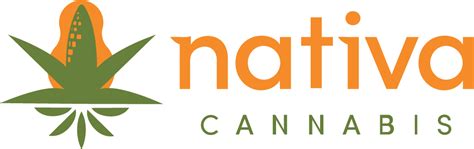 Nativa cannabis. Mar 26, 2024 ... The Seneca Nation-licensed recreational cannabis dispensary in ... Nativa Cannabis tribal dispensary closes temporarily after workers quit. 
