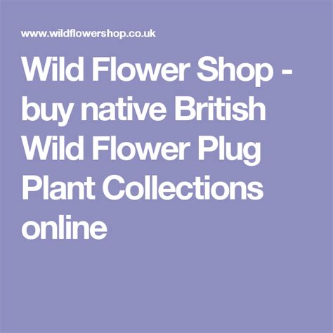 Native British - Wild Flower Shop