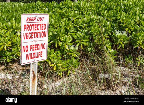 Native Vegetation Preservation - Lee County Southwest Florida