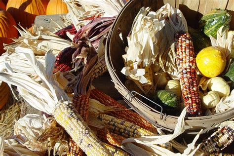 Native american food history. Things To Know About Native american food history. 