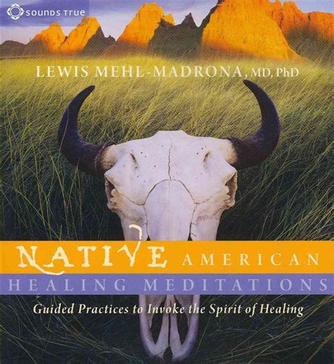 Native american healing meditations guided practices to invoke the spirit. - Catálogo das obras raras e valiosas.