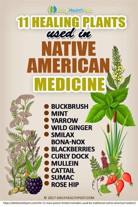 Native american medicinal plants pdf. Things To Know About Native american medicinal plants pdf. 
