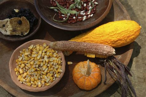 Native american southwest food. These early foods became the foundation of New Mexico cuisine. In Native American culture, corn was the primary plant food. The “corn cuisine” of the Southwest includes red, yellow, and white, and the distinctive New Mexico blue corn that have been cultivated for centuries. Corn is ground into meal and flour for use in breads and tortillas. 