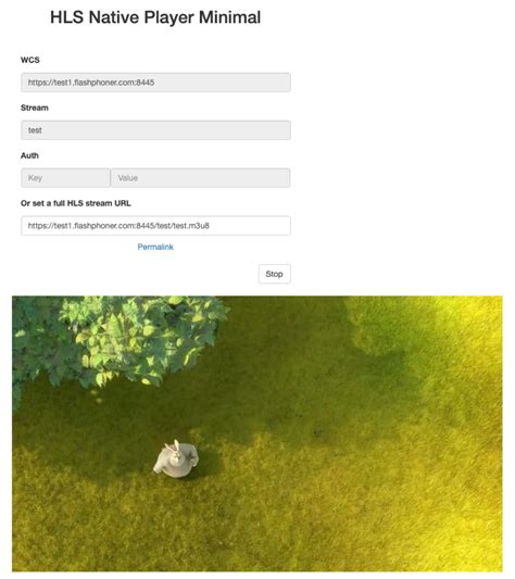 Native hls.  Keep in mind that if the intention is to support HLS on mul...