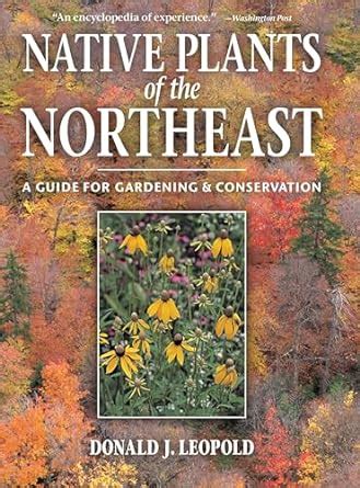 Native plants of the northeast a guide for gardening and conservation. - Handbuch der stiche handbook of stitches.