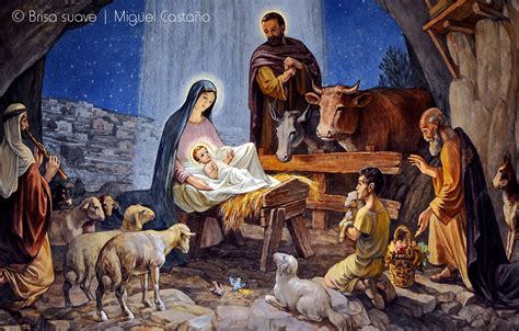 Natividad Onlyfans Leak
