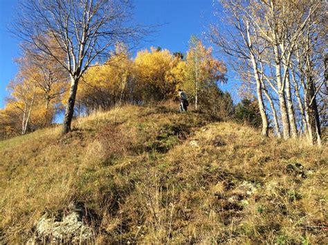 Natur hautnah - der Eichhörnchenweg in Sillian - Osttirol Blog