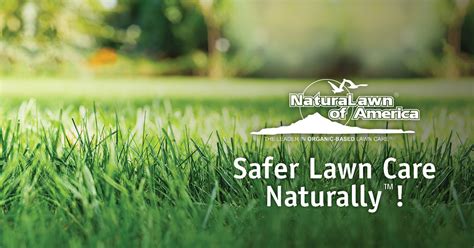 NaturaLawn Is An Organic Lawn Care Company Near …