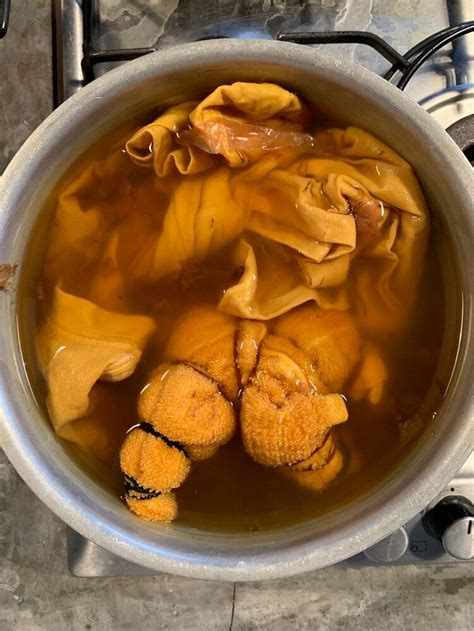 Natural Dyeing with Onion Skins — Zuahaza – Luxe Home Textiles