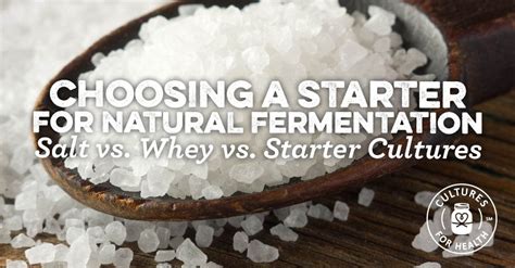 Natural Fermentation: Salt vs. Whey vs. Starter Cultures - Cultures …