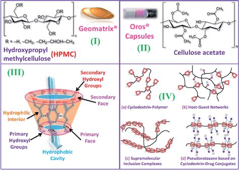 Natural Polymers in Micro- and Nanoencapsulation for Therapeutic and