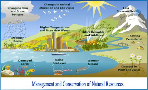 Natural Resource Management And Conservation
