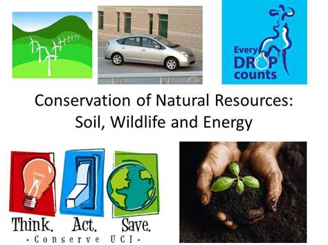 Natural Resources and the Environment CALS