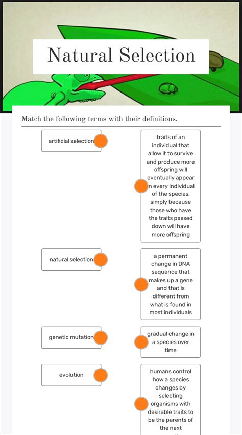 Natural Selection Interactive Worksheet by Dustin Root Wizer.me