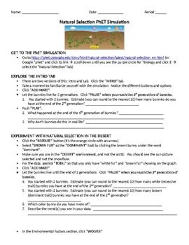 Natural Selection Simulation At Phet Worksheet Answers