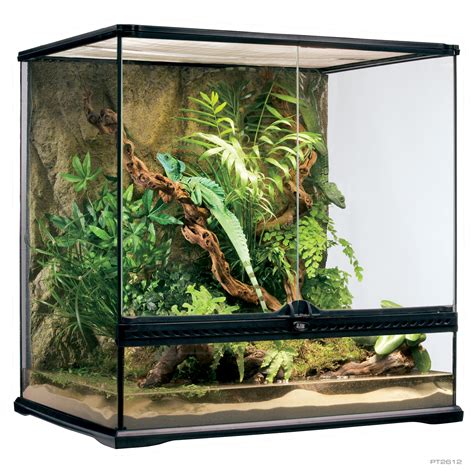 Natural Terrarium Medium Tall. 