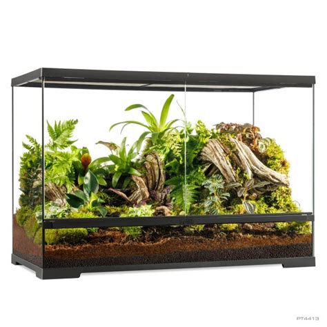 Natural Terrariums Exo Terra. 