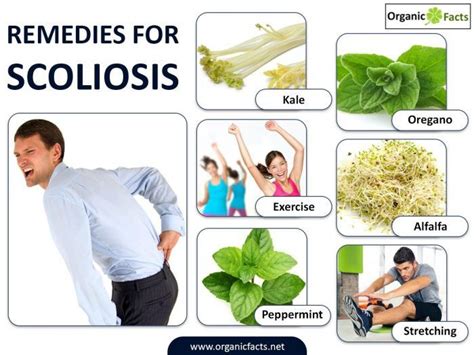 Natural Ways To Relieve Scoliosis Pain Organic Facts