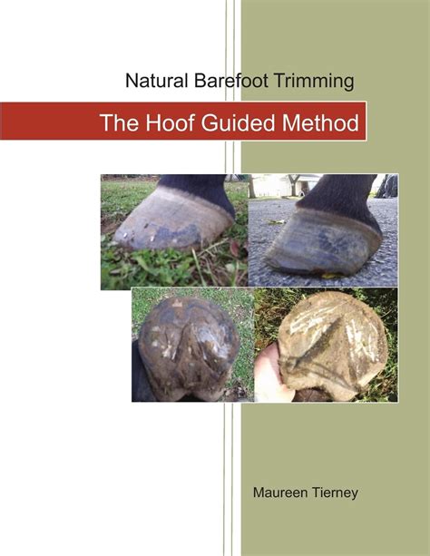 Natural barefoot trimming the hoof guided method. - Solutions manual corporate finance 10th ed.