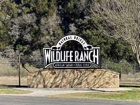 Natural bridge wildlife ranch. Feb 27, 2022 · 26515 Natural Bridge Caverns Rd, San Antonio, TX 78266. “Natural Bridge Wildlife Ranch is an "African Safari, Texas-Style." The ranch is a Texas Land Heritage Property, recognized and certified by the State of Texas for being used for agriculture by the same family for over 100 years.”. - Wikipedia. 