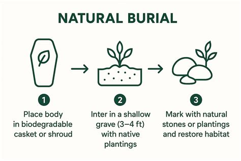 Natural burial park.  Discover green burial options and plan now.  Find...