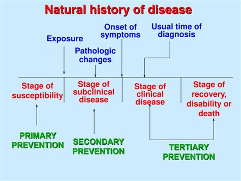 Natural history of fever following seizure - PubMed