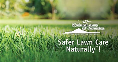 Natural lawn of america. NaturaLawn of America is a lawn care company that offers organic and natural plans, as well as lawn aeration services. Read this review to learn about its … 