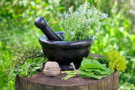 Natural medicine,fresh herbs Health Stock Photos ~ Creative …