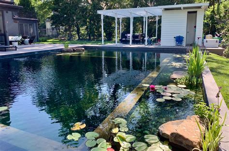 Natural swimming pools have year round beauty and functionality. How Swim Ponds Work. The pool has two main areas, a swimming area and a plant/biolife area. The water is continuously pumped through the pool and cleaned as it reaches the biolife area, which keeps nutrient levels low and in balance. Algae is not able to grow resulting in a much .... 